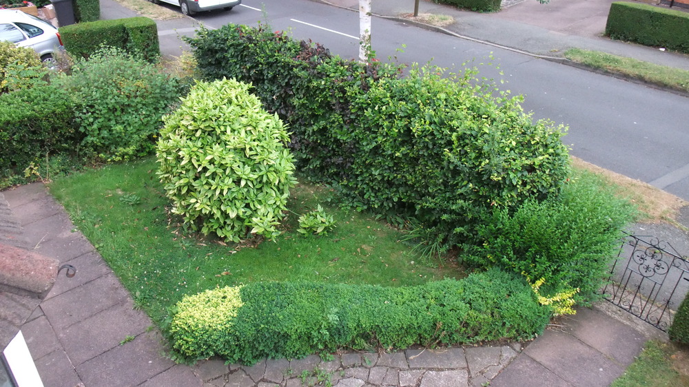 dscf9341.jpg